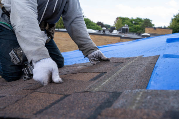 Best Roof Restoration  in Beecher, MI