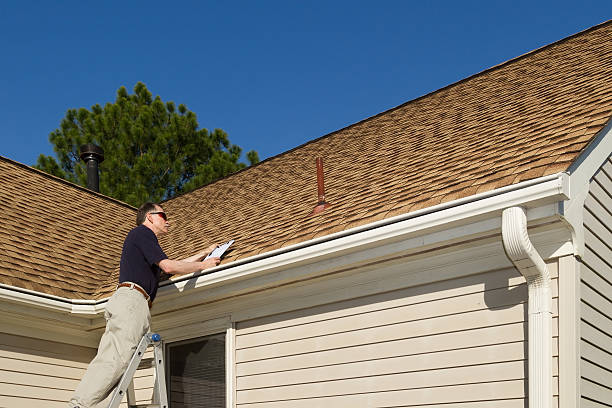 Best Asphalt Shingle Roofing  in Beecher, MI