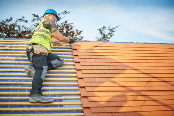 Best Metal Roofing Installation  in Beecher, MI